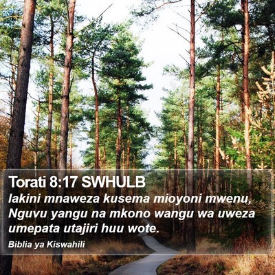 Torati 8:17 SWHULB Bible Verse Image