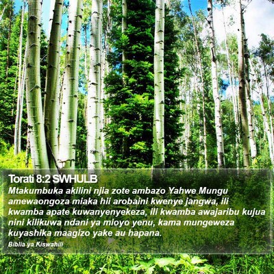Torati 8:2 SWHULB Bible Verse Image