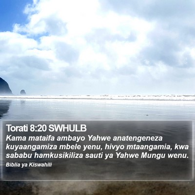 Torati 8:20 SWHULB Bible Verse Image
