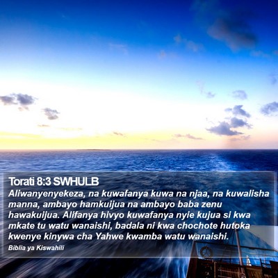 Torati 8:3 SWHULB Bible Verse Image
