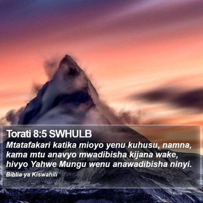Torati 8:5 SWHULB Bible Verse Image