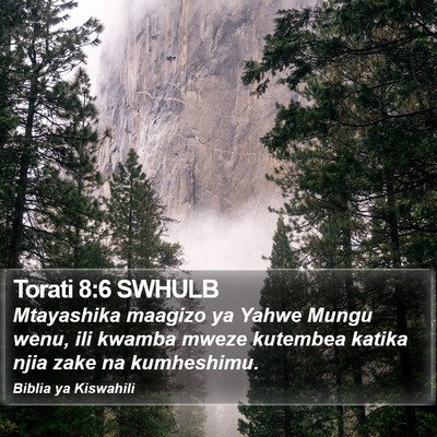 Torati 8:6 SWHULB Bible Verse Image