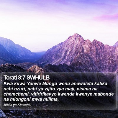Torati 8:7 SWHULB Bible Verse Image
