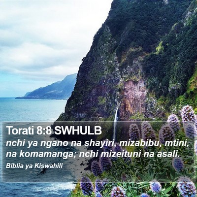 Torati 8:8 SWHULB Bible Verse Image