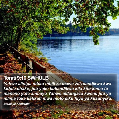 Torati 9:10 SWHULB Bible Verse Image