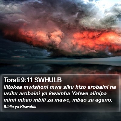 Torati 9:11 SWHULB Bible Verse Image