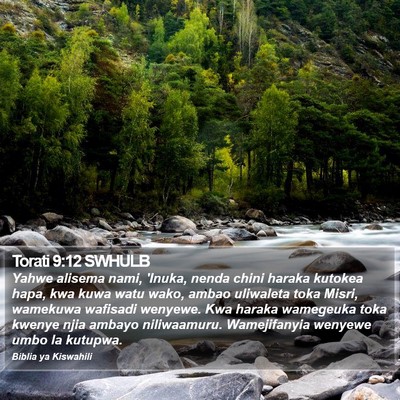 Torati 9:12 SWHULB Bible Verse Image