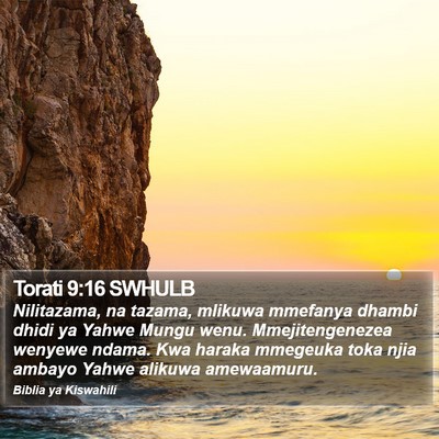 Torati 9:16 SWHULB Bible Verse Image