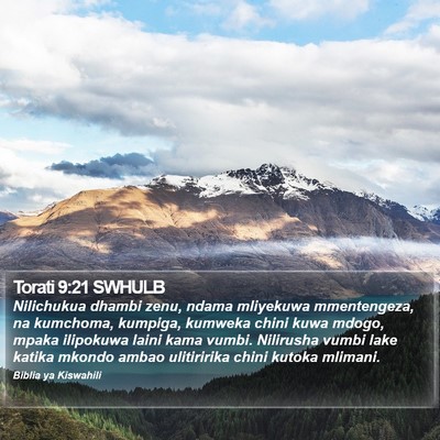 Torati 9:21 SWHULB Bible Verse Image