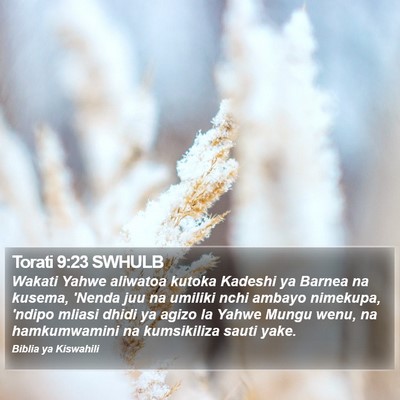Torati 9:23 SWHULB Bible Verse Image