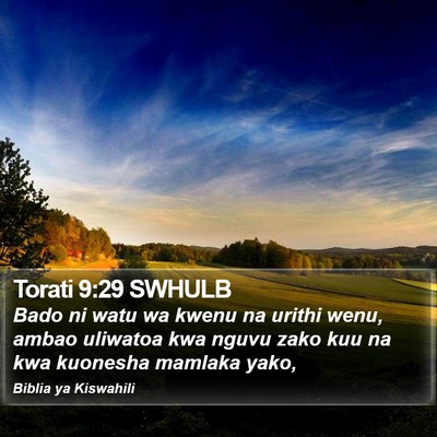 Torati 9:29 SWHULB Bible Verse Image