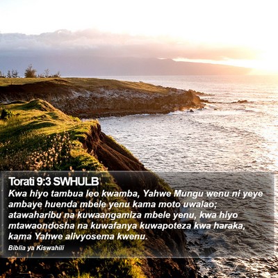 Torati 9:3 SWHULB Bible Verse Image