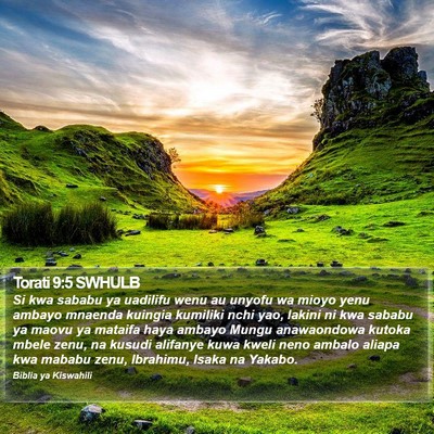 Torati 9:5 SWHULB Bible Verse Image