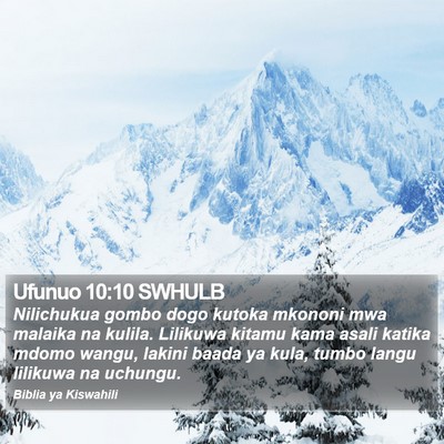 Ufunuo 10:10 SWHULB Bible Verse Image
