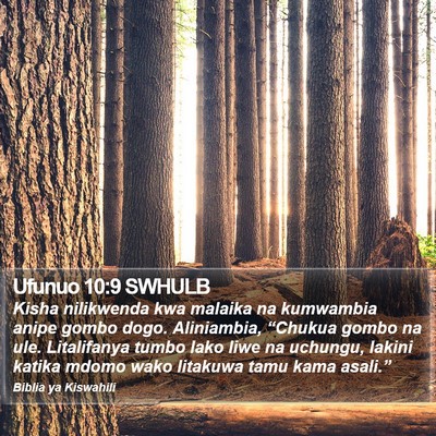 Ufunuo 10:9 SWHULB Bible Verse Image