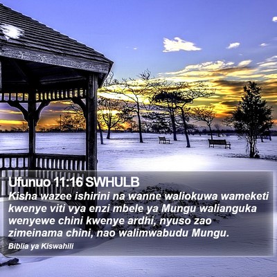 Ufunuo 11:16 SWHULB Bible Verse Image