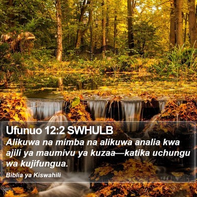 Ufunuo 12:2 SWHULB Bible Verse Image