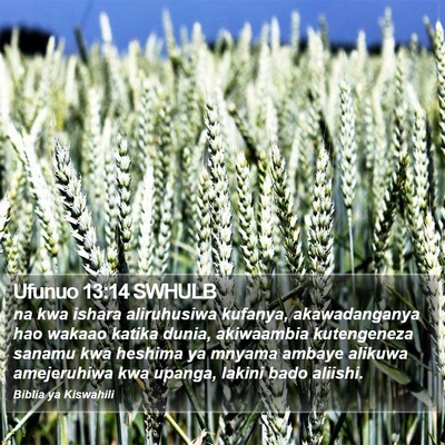 Ufunuo 13:14 SWHULB Bible Verse Image