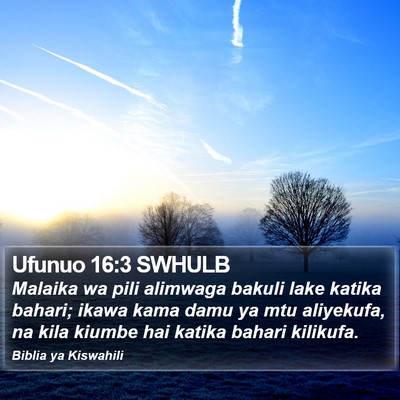 Ufunuo 16:3 SWHULB Bible Verse Image
