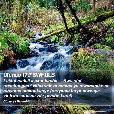 Ufunuo 17:7 SWHULB Bible Verse Image