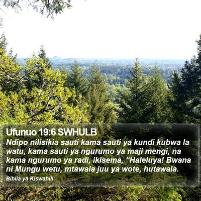Ufunuo 19:6 SWHULB Bible Verse Image