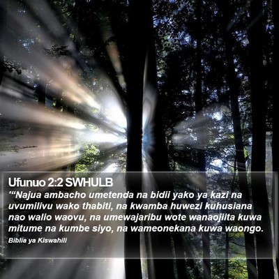 Ufunuo 2:2 SWHULB Bible Verse Image