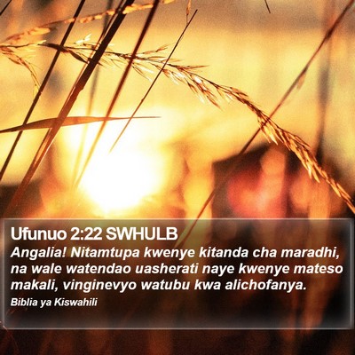 Ufunuo 2:22 SWHULB Bible Verse Image