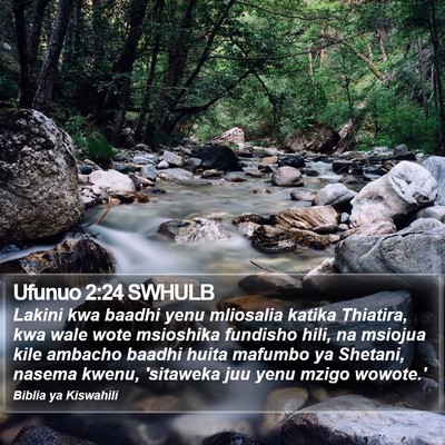 Ufunuo 2:24 SWHULB Bible Verse Image