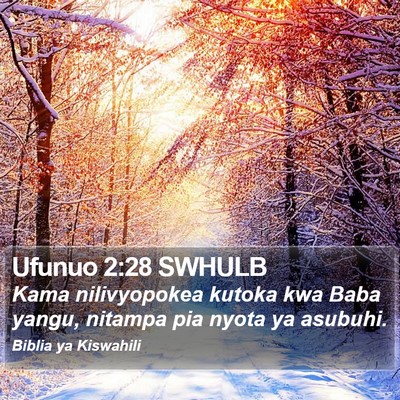 Ufunuo 2:28 SWHULB Bible Verse Image