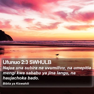 Ufunuo 2:3 SWHULB Bible Verse Image