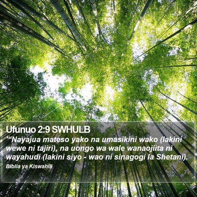 Ufunuo 2:9 SWHULB Bible Verse Image
