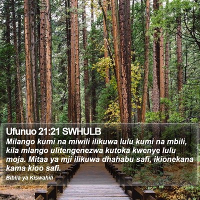 Ufunuo 21:21 SWHULB Bible Verse Image