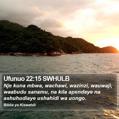 Ufunuo 22:15 SWHULB Bible Verse Image