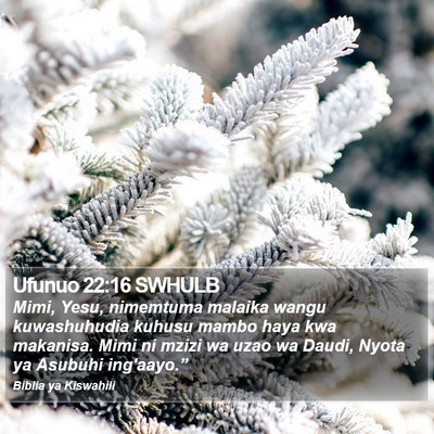 Ufunuo 22:16 SWHULB Bible Verse Image
