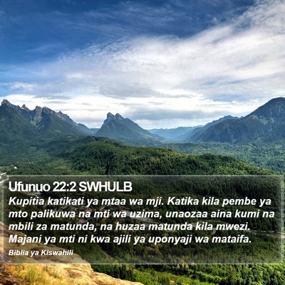 Ufunuo 22:2 SWHULB Bible Verse Image