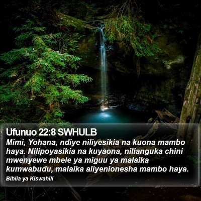 Ufunuo 22:8 SWHULB Bible Verse Image