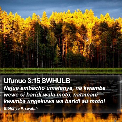 Ufunuo 3:15 SWHULB Bible Verse Image