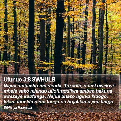 Ufunuo 3:8 SWHULB Bible Verse Image