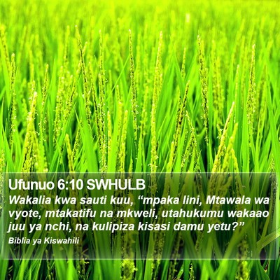 Ufunuo 6:10 SWHULB Bible Verse Image