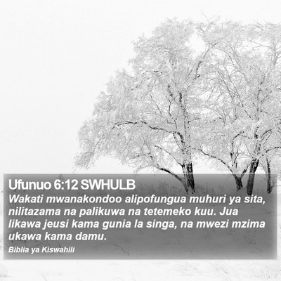 Ufunuo 6:12 SWHULB Bible Verse Image