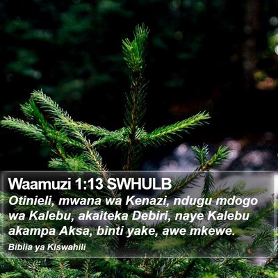 Waamuzi 1:13 SWHULB Bible Verse Image