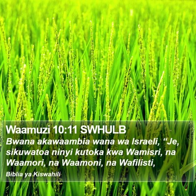 Waamuzi 10:11 SWHULB Bible Verse Image