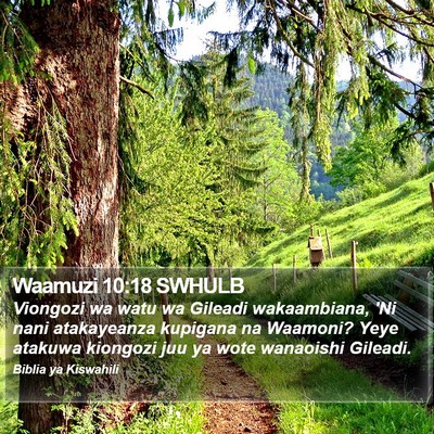 Waamuzi 10:18 SWHULB Bible Verse Image