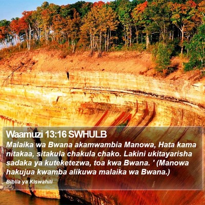 Waamuzi 13:16 SWHULB Bible Verse Image