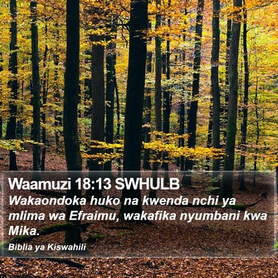 Waamuzi 18:13 SWHULB Bible Verse Image