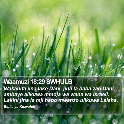 Waamuzi 18:29 SWHULB Bible Verse Image