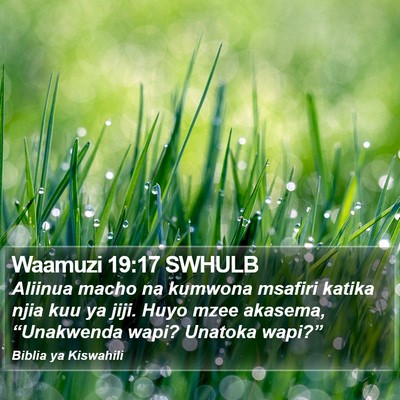 Waamuzi 19:17 SWHULB Bible Verse Image
