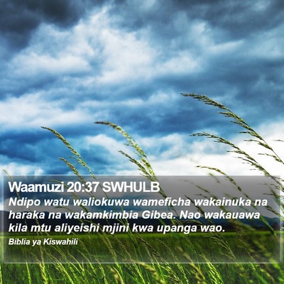 Waamuzi 20:37 SWHULB Bible Verse Image