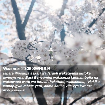 Waamuzi 20:39 SWHULB Bible Verse Image