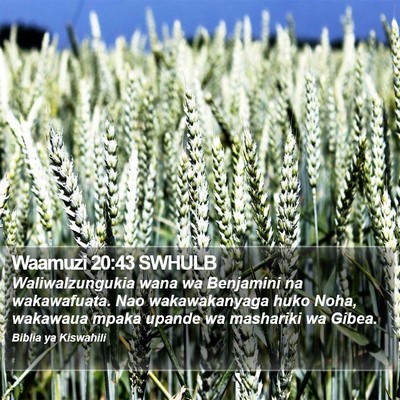 Waamuzi 20:43 SWHULB Bible Verse Image
